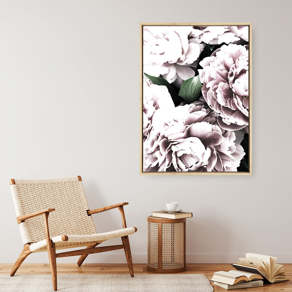 Shop Pink Peony Blossom II Photo Canvas Print a floral themed photography framed stretched canvas print from The Print Emporium wall artwork collection - Buy Australian made prints for the home and your interior decor space, TPE-284-CA-35X46-NF