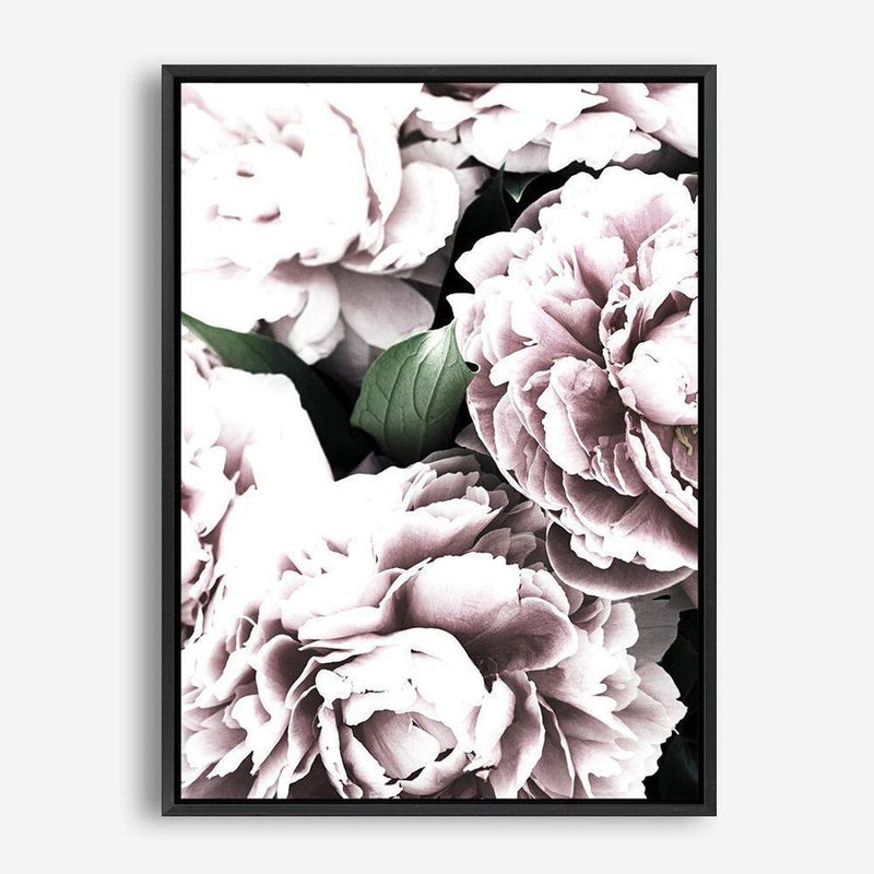 Shop Pink Peony Blossom II Photo Canvas Print a floral themed photography framed stretched canvas print from The Print Emporium wall artwork collection - Buy Australian made prints for the home and your interior decor space, TPE-284-CA-35X46-NF