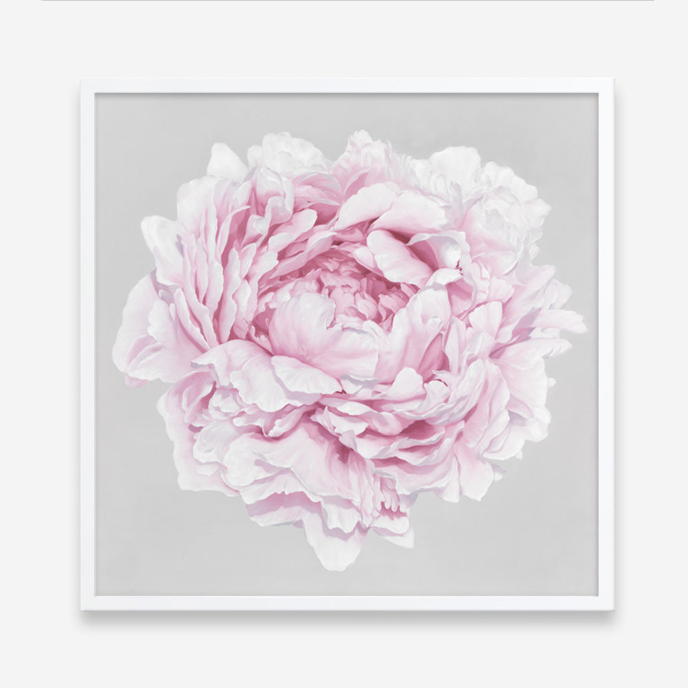 Shop Pink Peony II (Square) Art Print a floral themed painted wall art print from The Print Emporium wall artwork collection - Buy Australian made fine art painting style poster and framed prints for the home and your interior decor room, TPE-427-AP