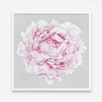 Shop Pink Peony II (Square) Art Print a floral themed painted wall art print from The Print Emporium wall artwork collection - Buy Australian made fine art painting style poster and framed prints for the home and your interior decor room, TPE-427-AP