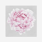 Shop Pink Peony II (Square) Art Print a floral themed painted wall art print from The Print Emporium wall artwork collection - Buy Australian made fine art painting style poster and framed prints for the home and your interior decor room, TPE-427-AP
