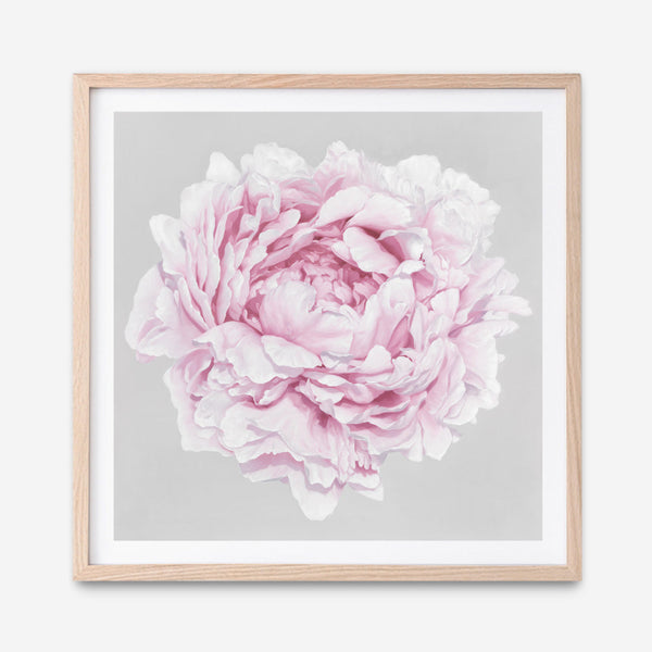 Shop Pink Peony II (Square) Art Print a floral themed painted wall art print from The Print Emporium wall artwork collection - Buy Australian made fine art painting style poster and framed prints for the home and your interior decor room, TPE-427-AP