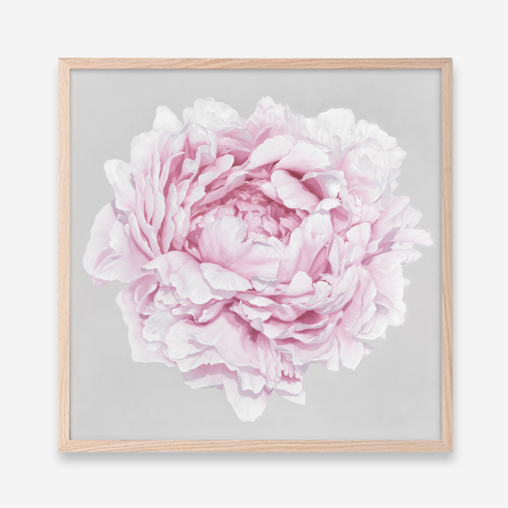 Shop Pink Peony II (Square) Art Print a floral themed painted wall art print from The Print Emporium wall artwork collection - Buy Australian made fine art painting style poster and framed prints for the home and your interior decor room, TPE-427-AP