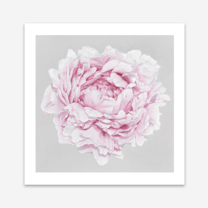 Shop Pink Peony II (Square) Art Print a floral themed painted wall art print from The Print Emporium wall artwork collection - Buy Australian made fine art painting style poster and framed prints for the home and your interior decor room, TPE-427-AP