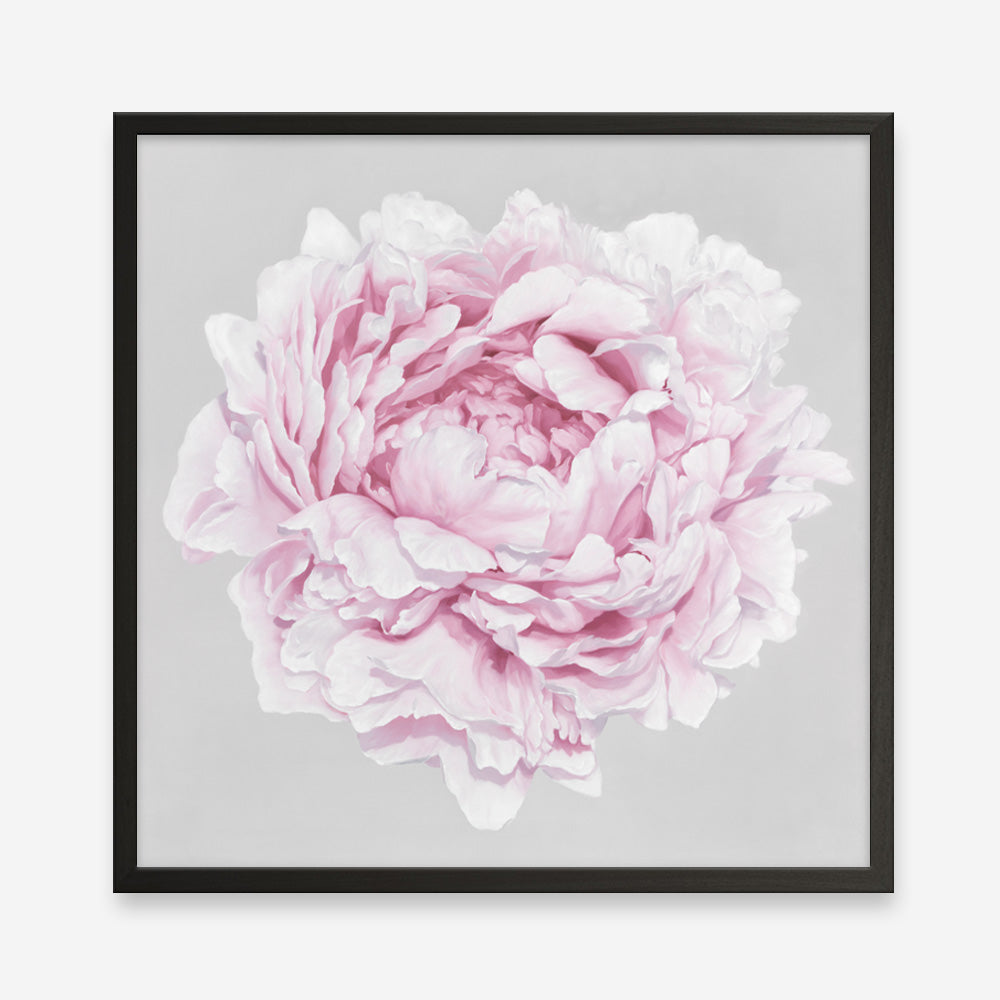 Shop Pink Peony II (Square) Art Print a floral themed painted wall art print from The Print Emporium wall artwork collection - Buy Australian made fine art painting style poster and framed prints for the home and your interior decor room, TPE-427-AP