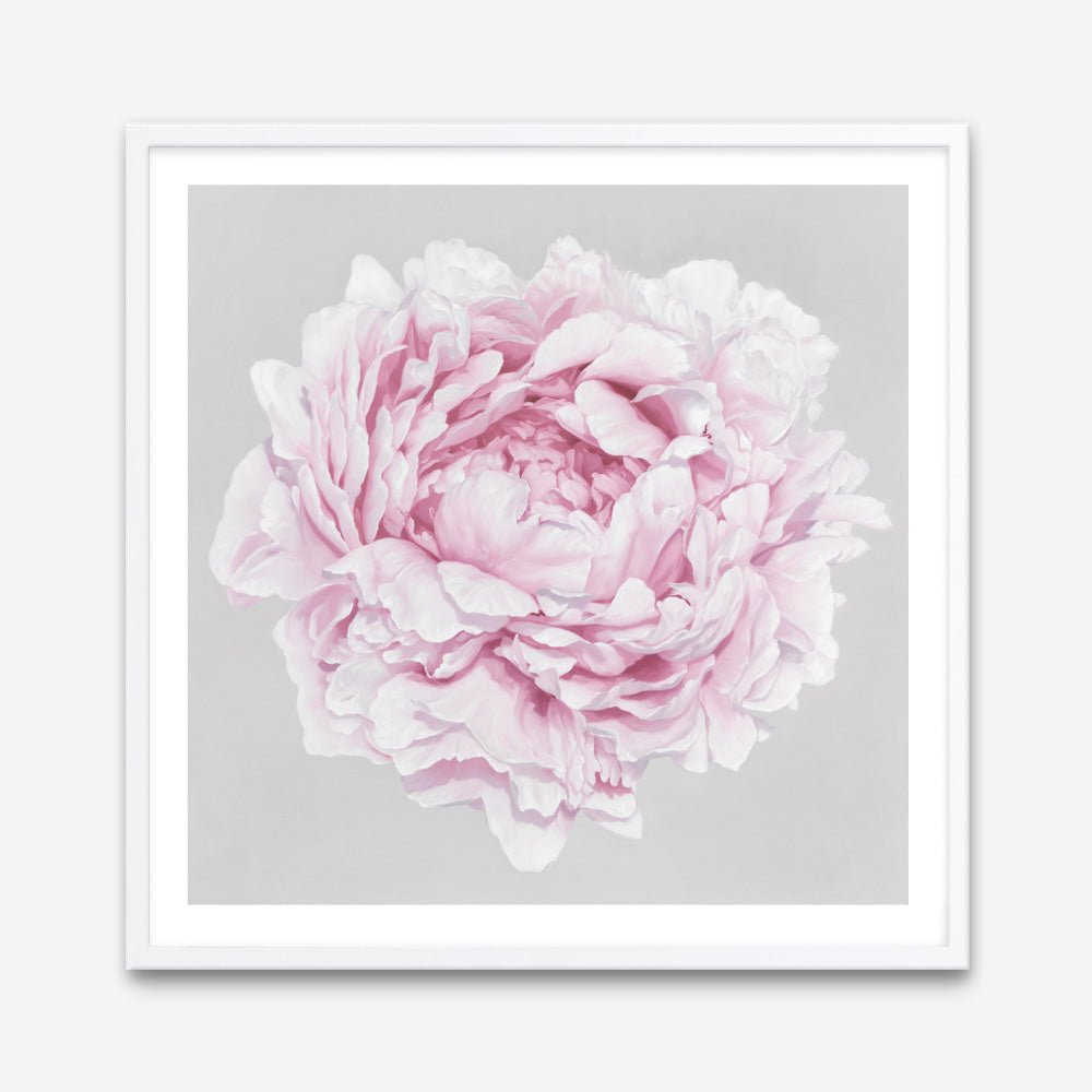 Shop Pink Peony II (Square) Art Print a floral themed painted wall art print from The Print Emporium wall artwork collection - Buy Australian made fine art painting style poster and framed prints for the home and your interior decor room, TPE-427-AP
