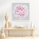 Shop Pink Peony II (Square) Art Print a floral themed painted wall art print from The Print Emporium wall artwork collection - Buy Australian made fine art painting style poster and framed prints for the home and your interior decor room, TPE-427-AP