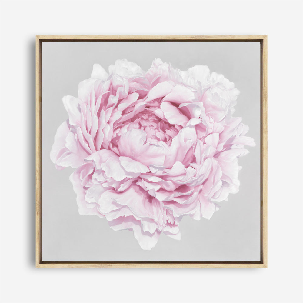 Shop Pink Peony II (Square) Canvas Print a floral themed painted framed canvas wall art print from The Print Emporium artwork collection - Buy Australian made fine art painting style stretched canvas prints for the home and your interior decor space, TPE-427-CA-40X40-NF
