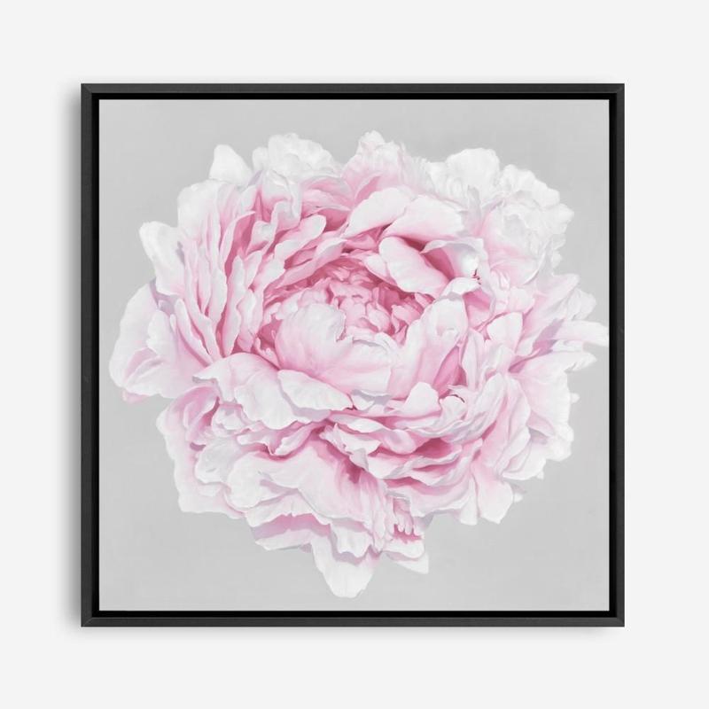 Shop Pink Peony II (Square) Canvas Print a floral themed painted framed canvas wall art print from The Print Emporium artwork collection - Buy Australian made fine art painting style stretched canvas prints for the home and your interior decor space, TPE-427-CA-40X40-NF