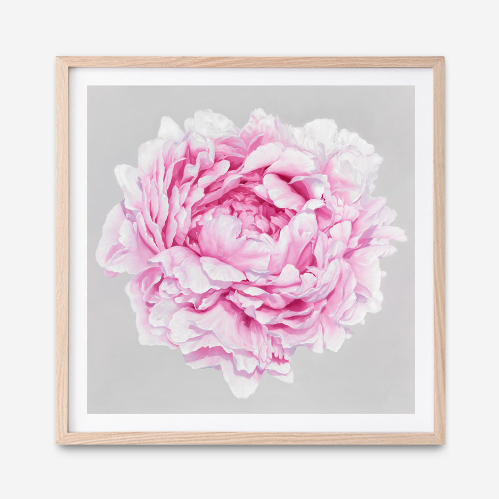 Shop Pink Peony (Square) Art Print a floral themed painted wall art print from The Print Emporium wall artwork collection - Buy Australian made fine art painting style poster and framed prints for the home and your interior decor room, TPE-236-AP