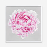 Shop Pink Peony (Square) Art Print a floral themed painted wall art print from The Print Emporium wall artwork collection - Buy Australian made fine art painting style poster and framed prints for the home and your interior decor room, TPE-236-AP