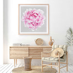 Shop Pink Peony (Square) Art Print a floral themed painted wall art print from The Print Emporium wall artwork collection - Buy Australian made fine art painting style poster and framed prints for the home and your interior decor room, TPE-236-AP