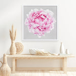 Shop Pink Peony (Square) Art Print a floral themed painted wall art print from The Print Emporium wall artwork collection - Buy Australian made fine art painting style poster and framed prints for the home and your interior decor room, TPE-236-AP