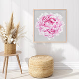 Shop Pink Peony (Square) Art Print a floral themed painted wall art print from The Print Emporium wall artwork collection - Buy Australian made fine art painting style poster and framed prints for the home and your interior decor room, TPE-236-AP