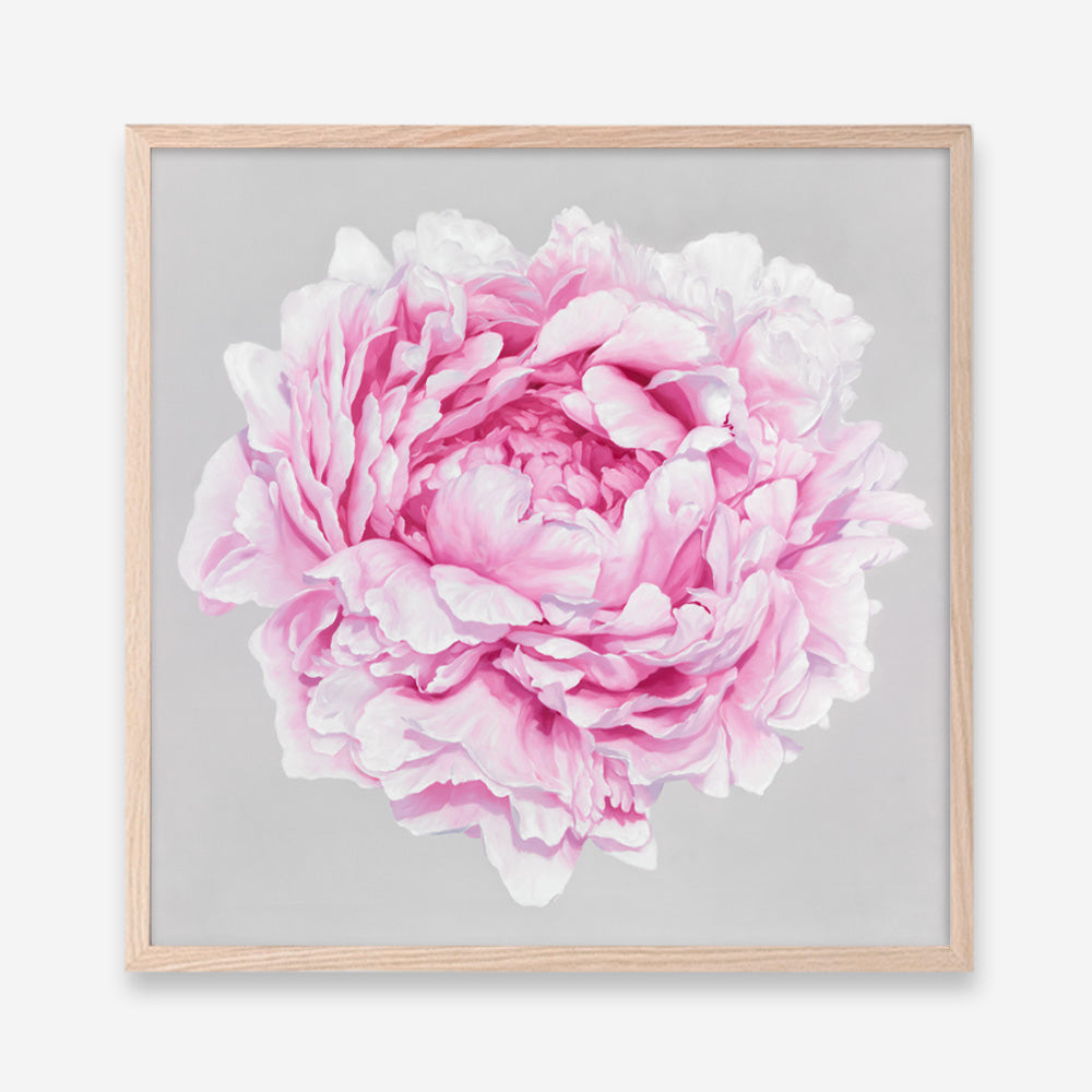 Shop Pink Peony (Square) Art Print a floral themed painted wall art print from The Print Emporium wall artwork collection - Buy Australian made fine art painting style poster and framed prints for the home and your interior decor room, TPE-236-AP