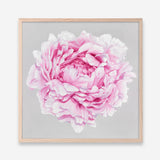 Shop Pink Peony (Square) Art Print a floral themed painted wall art print from The Print Emporium wall artwork collection - Buy Australian made fine art painting style poster and framed prints for the home and your interior decor room, TPE-236-AP
