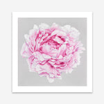 Shop Pink Peony (Square) Art Print a floral themed painted wall art print from The Print Emporium wall artwork collection - Buy Australian made fine art painting style poster and framed prints for the home and your interior decor room, TPE-236-AP