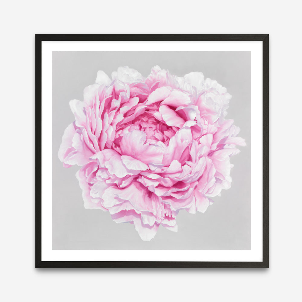 Shop Pink Peony (Square) Art Print a floral themed painted wall art print from The Print Emporium wall artwork collection - Buy Australian made fine art painting style poster and framed prints for the home and your interior decor room, TPE-236-AP