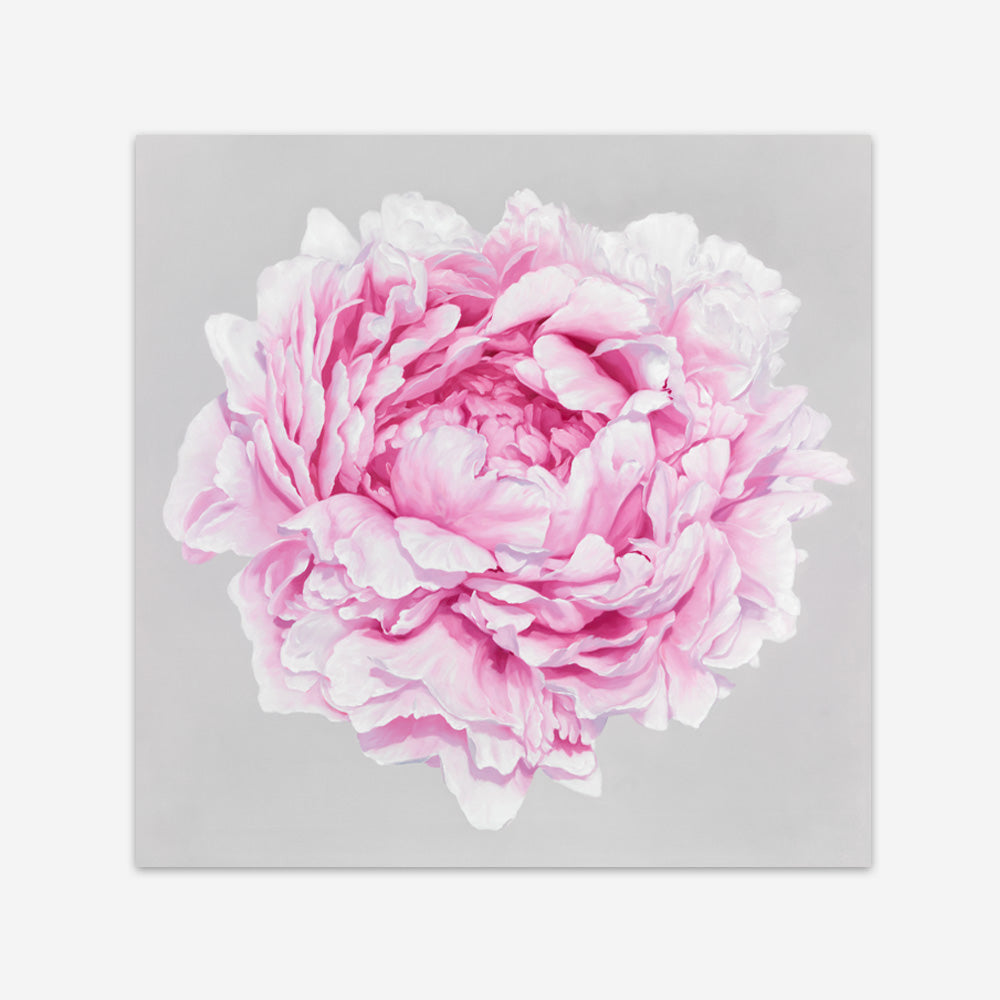 Shop Pink Peony (Square) Art Print a floral themed painted wall art print from The Print Emporium wall artwork collection - Buy Australian made fine art painting style poster and framed prints for the home and your interior decor room, TPE-236-AP