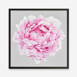 Shop Pink Peony (Square) Art Print a floral themed painted wall art print from The Print Emporium wall artwork collection - Buy Australian made fine art painting style poster and framed prints for the home and your interior decor room, TPE-236-AP