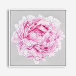 Shop Pink Peony (Square) Canvas Print a floral themed painted framed canvas wall art print from The Print Emporium artwork collection - Buy Australian made fine art painting style stretched canvas prints for the home and your interior decor space, TPE-236-CA-40X40-NF
