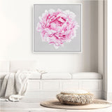Shop Pink Peony (Square) Canvas Print a floral themed painted framed canvas wall art print from The Print Emporium artwork collection - Buy Australian made fine art painting style stretched canvas prints for the home and your interior decor space, TPE-236-CA-40X40-NF