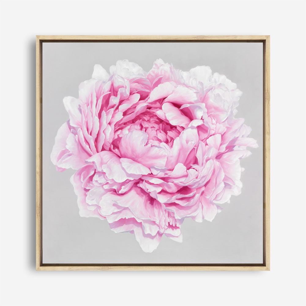 Shop Pink Peony (Square) Canvas Print a floral themed painted framed canvas wall art print from The Print Emporium artwork collection - Buy Australian made fine art painting style stretched canvas prints for the home and your interior decor space, TPE-236-CA-40X40-NF