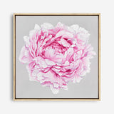 Shop Pink Peony (Square) Canvas Print a floral themed painted framed canvas wall art print from The Print Emporium artwork collection - Buy Australian made fine art painting style stretched canvas prints for the home and your interior decor space, TPE-236-CA-40X40-NF
