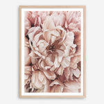 Shop Pink Petals I Art Print a floral themed painted wall art print from The Print Emporium wall artwork collection - Buy Australian made fine art painting style poster and framed prints for the home and your interior decor room, TPE-341-AP