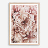 Shop Pink Petals I Art Print a floral themed painted wall art print from The Print Emporium wall artwork collection - Buy Australian made fine art painting style poster and framed prints for the home and your interior decor room, TPE-341-AP