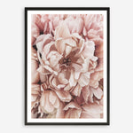 Shop Pink Petals I Art Print a floral themed painted wall art print from The Print Emporium wall artwork collection - Buy Australian made fine art painting style poster and framed prints for the home and your interior decor room, TPE-341-AP