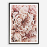 Shop Pink Petals I Art Print a floral themed painted wall art print from The Print Emporium wall artwork collection - Buy Australian made fine art painting style poster and framed prints for the home and your interior decor room, TPE-341-AP