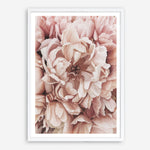 Shop Pink Petals I Art Print a floral themed painted wall art print from The Print Emporium wall artwork collection - Buy Australian made fine art painting style poster and framed prints for the home and your interior decor room, TPE-341-AP