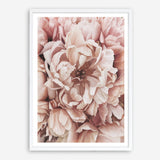 Shop Pink Petals I Art Print a floral themed painted wall art print from The Print Emporium wall artwork collection - Buy Australian made fine art painting style poster and framed prints for the home and your interior decor room, TPE-341-AP