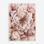 Shop Pink Petals I Art Print a floral themed painted wall art print from The Print Emporium wall artwork collection - Buy Australian made fine art painting style poster and framed prints for the home and your interior decor room, TPE-341-AP