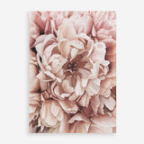 Shop Pink Petals I Art Print a floral themed painted wall art print from The Print Emporium wall artwork collection - Buy Australian made fine art painting style poster and framed prints for the home and your interior decor room, TPE-341-AP