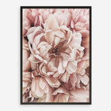 Shop Pink Petals I Art Print a floral themed painted wall art print from The Print Emporium wall artwork collection - Buy Australian made fine art painting style poster and framed prints for the home and your interior decor room, TPE-341-AP