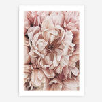 Shop Pink Petals I Art Print a floral themed painted wall art print from The Print Emporium wall artwork collection - Buy Australian made fine art painting style poster and framed prints for the home and your interior decor room, TPE-341-AP
