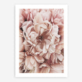 Shop Pink Petals I Art Print a floral themed painted wall art print from The Print Emporium wall artwork collection - Buy Australian made fine art painting style poster and framed prints for the home and your interior decor room, TPE-341-AP