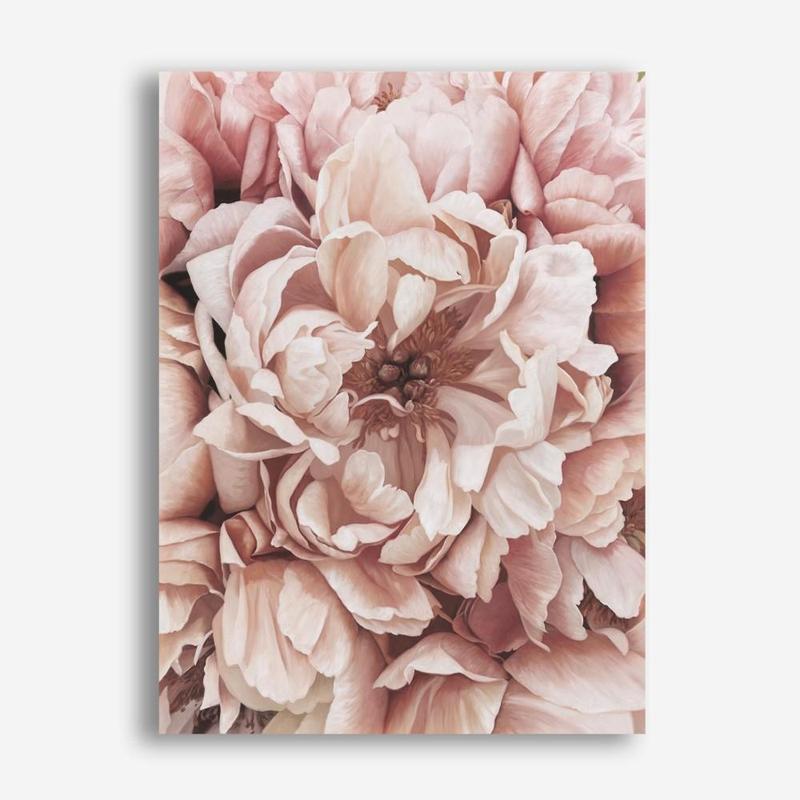 Shop Pink Petals I Canvas Print a floral themed painted framed canvas wall art print from The Print Emporium artwork collection - Buy Australian made fine art painting style stretched canvas prints for the home and your interior decor space, TPE-341-CA-35X46-NF