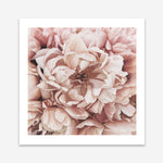 Shop Pink Petals I (Square) Art Print a floral themed painted wall art print from The Print Emporium wall artwork collection - Buy Australian made fine art painting style poster and framed prints for the home and your interior decor room, TPE-314-AP