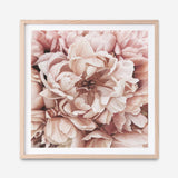Shop Pink Petals I (Square) Art Print a floral themed painted wall art print from The Print Emporium wall artwork collection - Buy Australian made fine art painting style poster and framed prints for the home and your interior decor room, TPE-314-AP