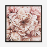 Shop Pink Petals I (Square) Art Print a floral themed painted wall art print from The Print Emporium wall artwork collection - Buy Australian made fine art painting style poster and framed prints for the home and your interior decor room, TPE-314-AP