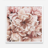 Shop Pink Petals I (Square) Art Print a floral themed painted wall art print from The Print Emporium wall artwork collection - Buy Australian made fine art painting style poster and framed prints for the home and your interior decor room, TPE-314-AP