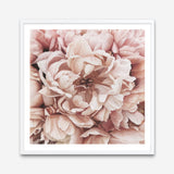 Shop Pink Petals I (Square) Art Print a floral themed painted wall art print from The Print Emporium wall artwork collection - Buy Australian made fine art painting style poster and framed prints for the home and your interior decor room, TPE-314-AP