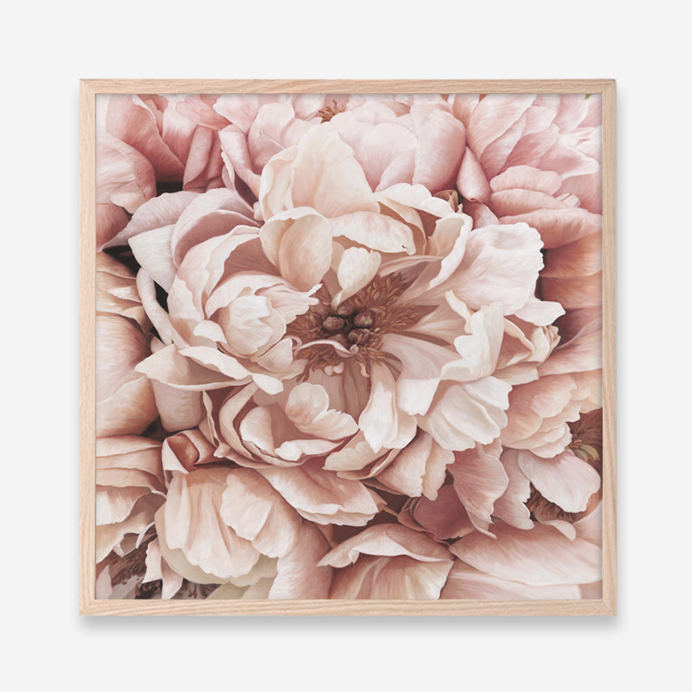 Shop Pink Petals I (Square) Art Print a floral themed painted wall art print from The Print Emporium wall artwork collection - Buy Australian made fine art painting style poster and framed prints for the home and your interior decor room, TPE-314-AP