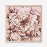 Shop Pink Petals I (Square) Art Print a floral themed painted wall art print from The Print Emporium wall artwork collection - Buy Australian made fine art painting style poster and framed prints for the home and your interior decor room, TPE-314-AP