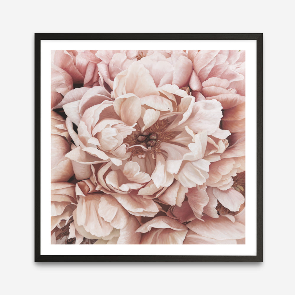 Shop Pink Petals I (Square) Art Print a floral themed painted wall art print from The Print Emporium wall artwork collection - Buy Australian made fine art painting style poster and framed prints for the home and your interior decor room, TPE-314-AP