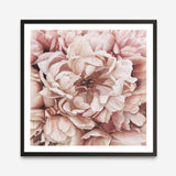 Shop Pink Petals I (Square) Art Print a floral themed painted wall art print from The Print Emporium wall artwork collection - Buy Australian made fine art painting style poster and framed prints for the home and your interior decor room, TPE-314-AP