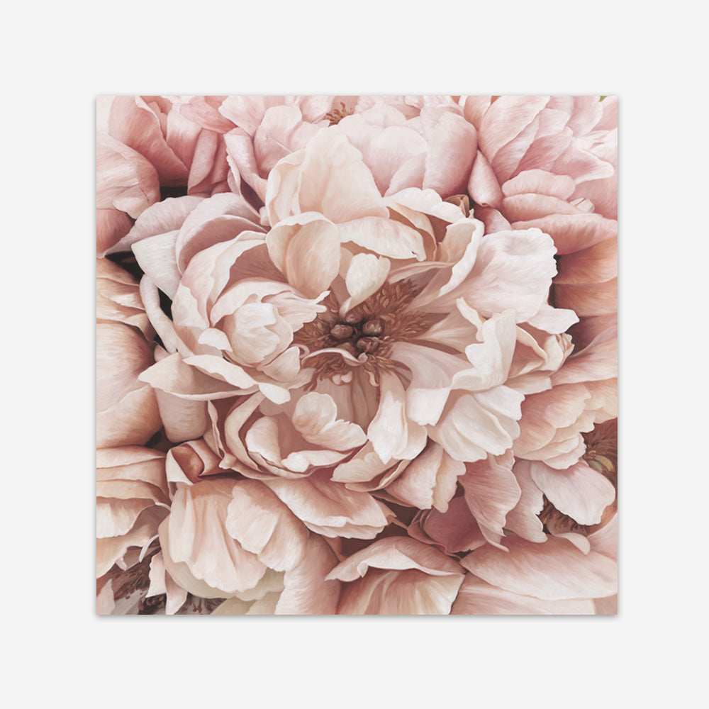 Shop Pink Petals I (Square) Art Print a floral themed painted wall art print from The Print Emporium wall artwork collection - Buy Australian made fine art painting style poster and framed prints for the home and your interior decor room, TPE-314-AP